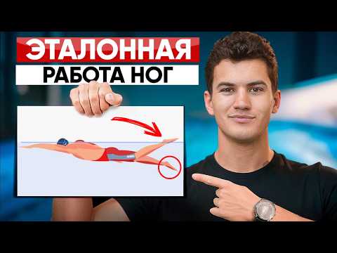 Секрет сильных и лёгких ног в кроле. Эталонная техника ног в плавании кролем