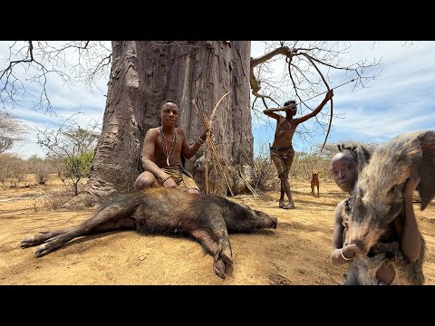 UNBELIEVABLE Bush Pig Hunt | life of hunters