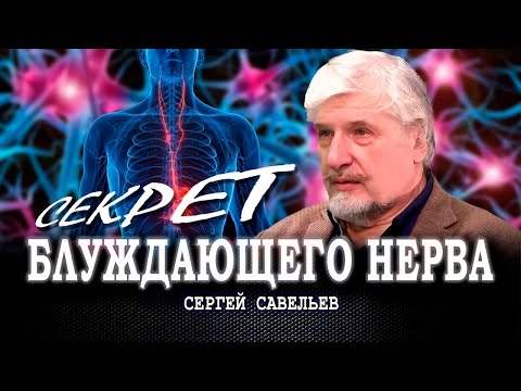 Why Do People Burn? | Sergey Savelyev | Ilya Burlakovsky