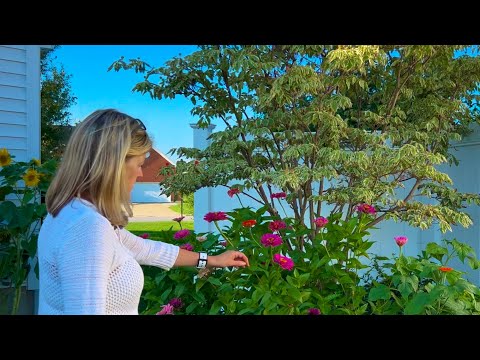 Her Sensory Garden Explored