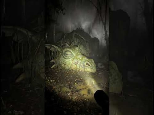 This wasn't how I remembered it.