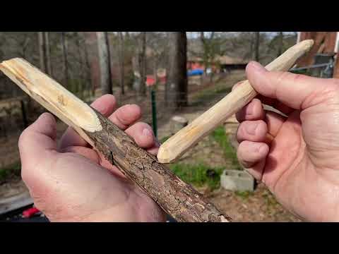 Choosing The Right Wood For Bow Drill, 8 Things To Consider
