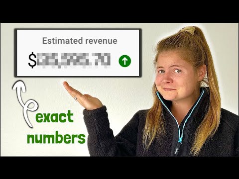 How Much YouTube Paid Me in 2024 || my income & analytics as a small creator