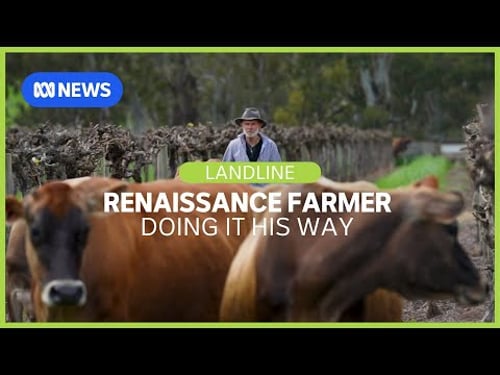 The South Australian farmer doing things his way - and succeeding | Landline | ABC News