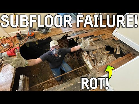 The Owner FELL THROUGH Their Floor... So They Called Us