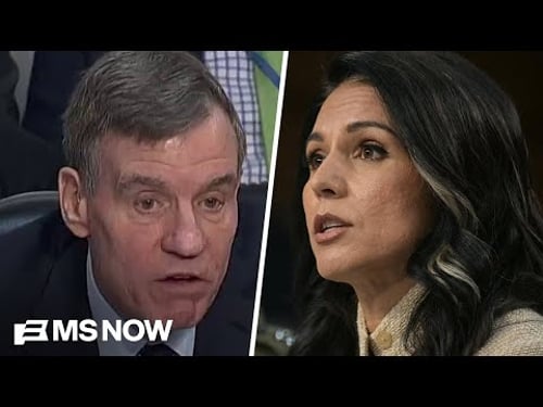 Sen. Warner grills Tulsi Gabbard over FBI showing up to Fulton County election office