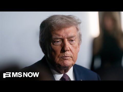 ‘So vile, so low, it shocks the conscience’: Dem Rep. blasts Trump over racist post