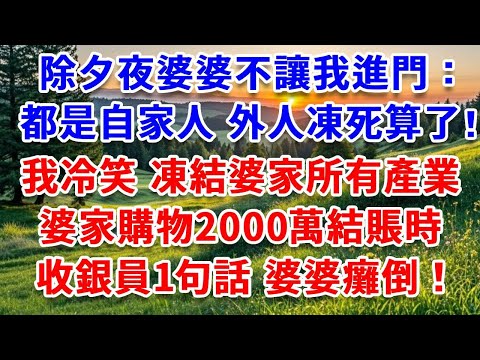 除夕夜婆婆不讓我進門:都是自家人,妳這外人凍死算了!我冷笑 凍結婆家所有產業,婆家購物2000萬奢侈品結賬時,收銀員一句話,婆婆當場癱倒!#詩涵講故事#為人處世#生活經驗#情感故事#晚年哲理#說故事