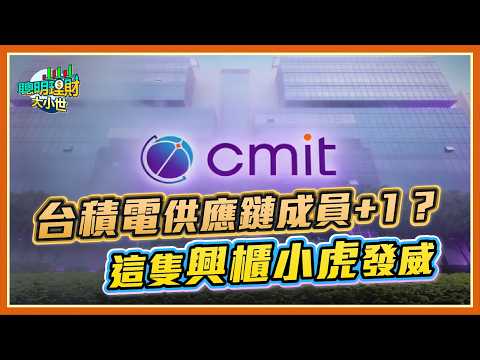 台積電「馬」上發財?供應鏈成員+1?這隻興櫃小虎有夠威|黃世聰-聰明理財大小世