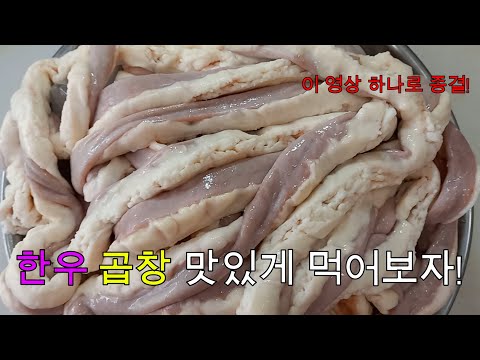 곱창 끝판왕! 손질부터 잡내제거까지! | 한우 곱창