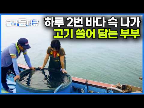 마트가 따로 필요 없다. 제철 되면 알아서 그물에 걸려들어 오는 고기들ㅣ반찬 걱정 필요 없는 바닷가 사람들ㅣ한국기행│#골라듄다큐