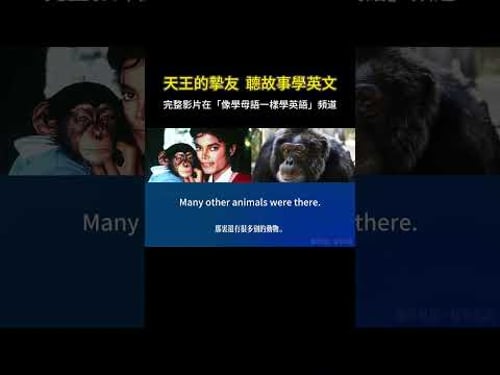 聽故事學英文 | 邁克爾傑克遜與泡泡 #英語聽力