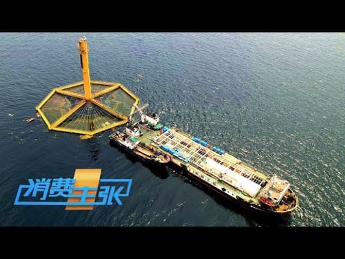 深水网箱、养殖工船……中国海洋牧场藏有多少黑科技吗?「消费主张」20230320 | 财经风云