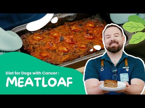 Feeding Dogs with Cancer: Easy Homemade Meatloaf Diet