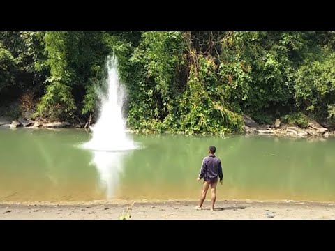 Who Told My Brother to bring Dynamite? (Fishing & Hunting for Exotic Species)