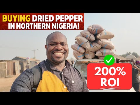 How to Buy and Store Pepper for Profit -2026