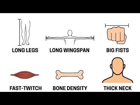 Every Physical Advantage In MMA Explained