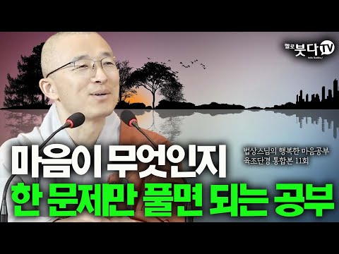 마음이 무엇인지 한 문제만 풀면 되는 공부| 법상스님 육조단경 통합 11강 | 깨달음 불교 상담 인생 | 법상스님의 행복한 마음공부