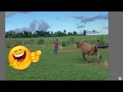 Animais de Fazenda Espertos e Engraçados🐄😆 | Parte 21