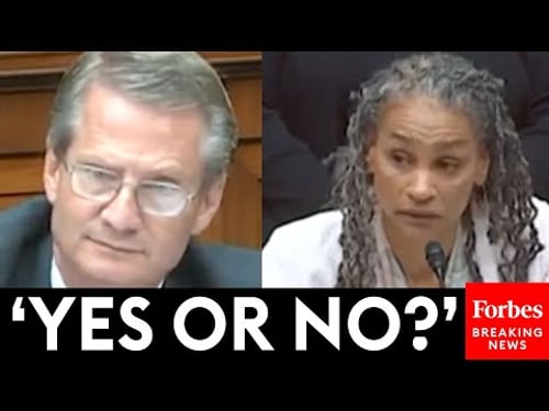 Tim Burchett To Dem Witness: Are GOP Attacks On 'Woke Radicals' An Attempt To Return To The 1950s?