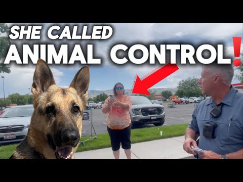 She Called Animal Control on my VANLIFE DOG - Pet Safety & Evapolar Review