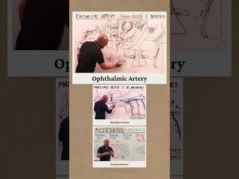 ๐ฅ EID FINAL CALL! ๐ฅ