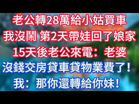老公轉28萬給小姑買車,我沒鬧第2天帶娃回了娘家,15天後老公來電:老婆,沒錢交房貸車貸物業費了!我:那你還轉給你妹! #傾聽故事會 #情感故事 #老人频道 #老年健康 #為人處世 #老年生活