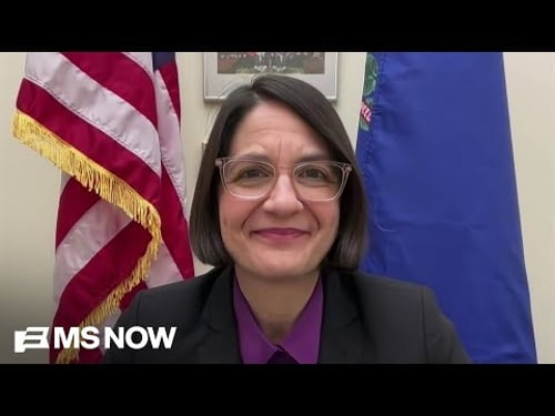 “People are DISGUSTED”: What one Democrat saw at No Kings Day