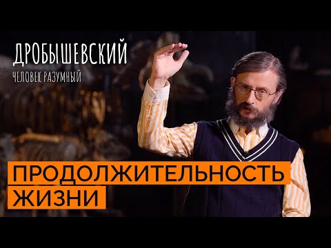 Сколько лет жили наши предки? // Дробышевский. Человек разумный