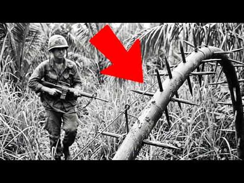 What a Bamboo Whip Trap Does to the Human Body