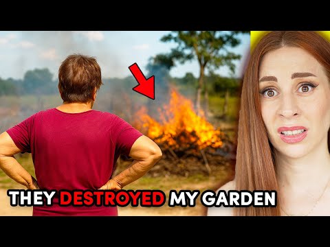 AITA for voodooing my neighbors? - REACTION