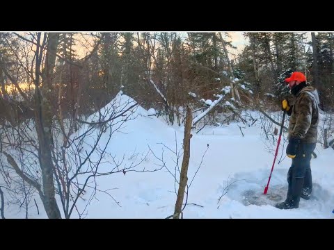 The Trapline is Changing: and Donnie Update