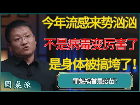 今年流感来势汹汹,不是病毒变厉害了,而是你的身体被搞垮了!罪魁祸首是疫苗?#窦文涛 #梁文道 #马未都 #周轶君 #马家辉 #许子东 #圆桌派 #圆桌派第八季