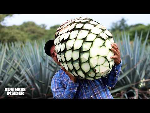 13 Foods You Didn’t Know Came From Mexico