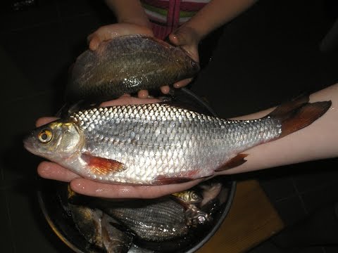 Об этой зимней прикормке должны знать ВСЕ!!!