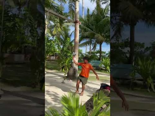 “Human Drone?” #drone #dronecode #humandrone #travel #beach #escapade