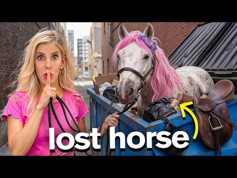 I Found a Lost Horse