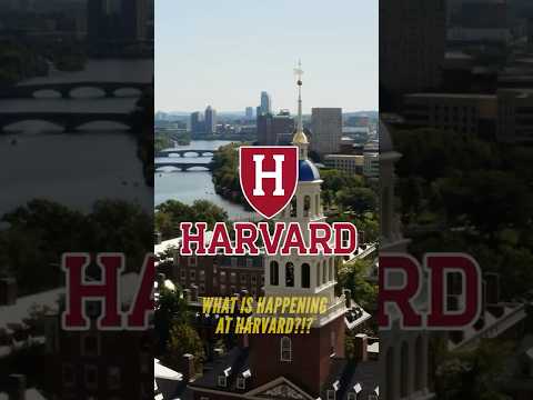 What is Happening at Harvard?!? 🤔🧠💥