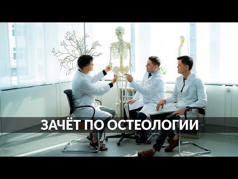 ЗАЧЁТ ПО АНАТОМИИ | ПОЗВОНОЧНИК + ЧЕРЕП | ОСТЕОЛОГИЯ ДЛЯ СТУДЕНТОВ - МЕДИКОВ / ПЕРВОКУРСНИКОВ