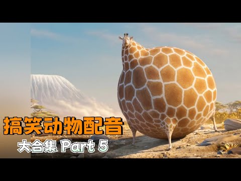 【搞笑动物配音】专治不开心!一次看过瘾140合集篇