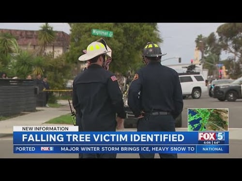Man killed in City Heights tree collapse identified