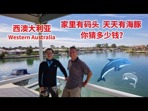 澳洲移民生活:家里有码头和船🚤,天天能看到海豚🐬的房子你猜多少钱?坐标:西澳大利亚州曼杜拉(Mandurah),离珀斯一小时车程的城市!