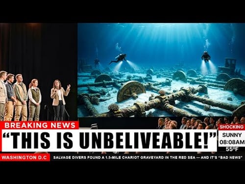 Divers Found a Chariot Graveyard in the Red Sea — What’s Mixed in the Wreckage Is Terrifying