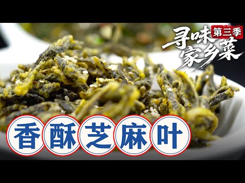 寻味家乡菜 第三季第09集:香酥芝麻叶 #寻味家乡菜 #美食 #家乡美食 #老家美食 #老家味道