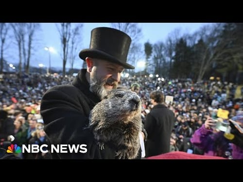 WATCH: Punxsutawney Phil makes 2025 Groundhog Day prediction | NBC News