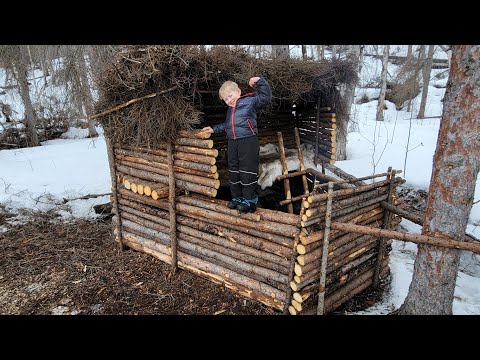 8 Days Camping & Building a Bushcraft Survival Shelter with My 5 yr old Son