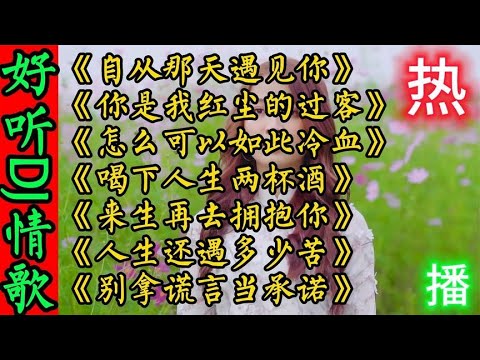 百听不厌7首好听伤感DJ情歌《自从那天遇见你》你是我红尘的过客