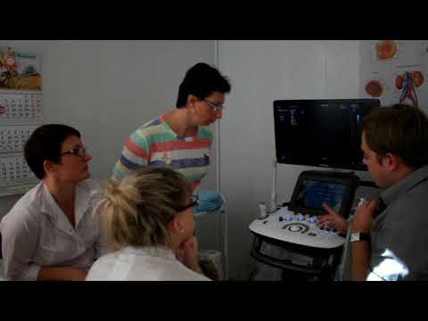 Поставка уз-сканера Samsung Medison UGEO H60 Фортуна H60 (МЦ "Фортуна", г. Самара)