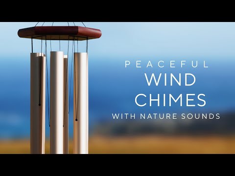 Deep Wind Chimes, Cheerful Birdsong & Views to the Horizon