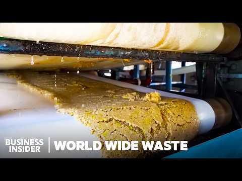 How Fruit Pulp Replaces Firewood and Charcoal | World Wide Waste